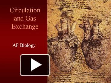 PPT Circulation And Gas Exchange PowerPoint Presentation Free To