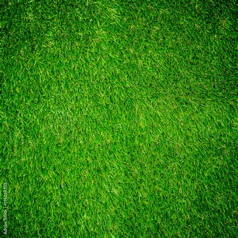 Green grass texture from Stock Photo | Adobe Stock