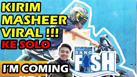 masheer viral diborong youtubers kece mantappp youtube