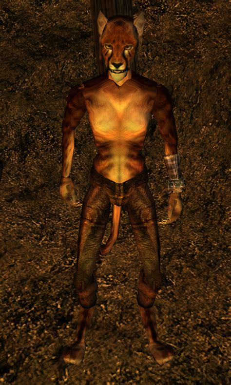 Kaasha (Morrowind) | Elder Scrolls | FANDOM powered by Wikia