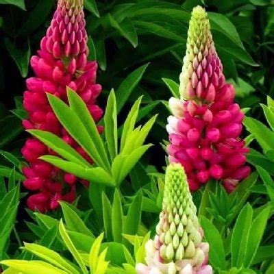 Olgun Ve Dolgunlar N Aras Nda On Twitter Fucking My Sis Free Indian Hd Porn Video