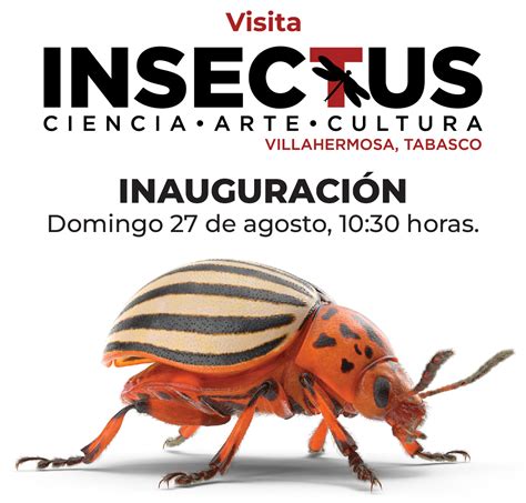 Insectus: ciencia, arte y cultura