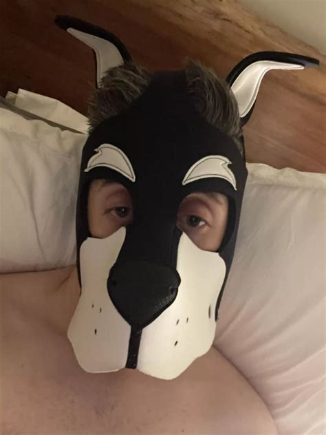 New Pup Around Nudes PupPlay NUDE PICS ORG