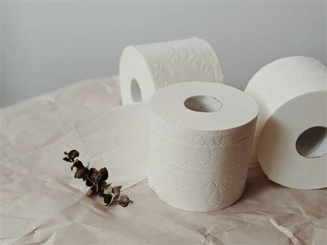 White Toilet Paper Rolls · Free Stock Photo