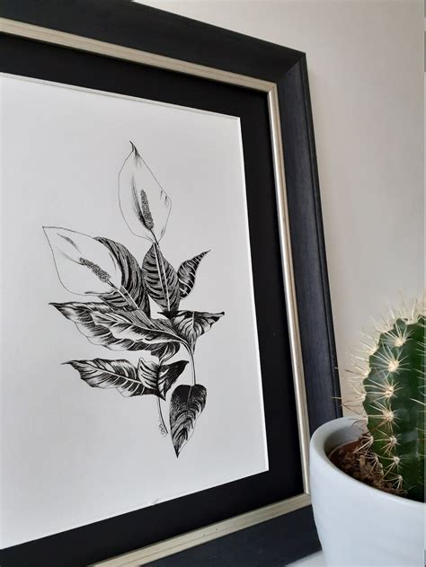 A4 Peace Lily Botanical Art Printplant Monochrome Ink Sketchfloral Drawingmodern Minamilist