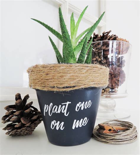 Plant One On Me Plant Pun Funny Plant Pot Funny Plant Pun Potter