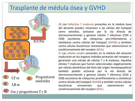 INMUNOLOGIA DEL TRASPLANTE Ppt Descargar