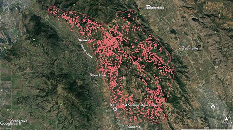 TRACKING YOUR LOCAL LIONS - True Wild