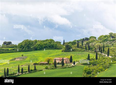 Cypress Tree Lined Winding Road Hi Res Stock Photography And Images Alamy