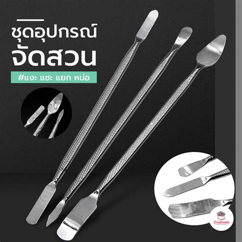 ชุดอุปกรณ์ช่วยงัด แงะ แซะ แยก หน่อ อุปกรณ์จัดสวน อุปกรณ์ปลูกแคคตัส ...