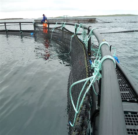 Fish net pens - Maccaferri: Engineering a Better solution