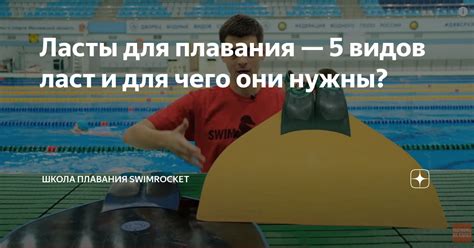 Ласты для плавания — 5 видов ласт и для чего они нужны? | Школа ...
