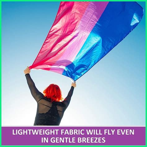 X Ft Lgbt Bisexual Pride Flag Creative Colorful Lgbtq Flags Double Stitched Gay Lesbian