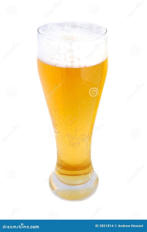 Pint of lager stock photo. Image of hops, pint, bubbles - 3851814