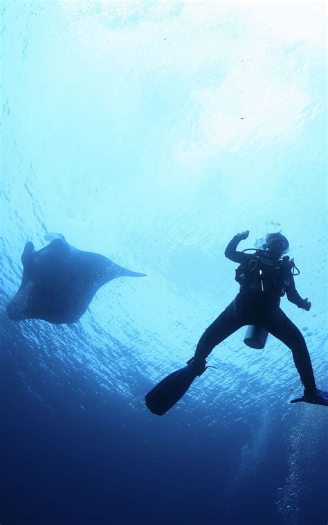 Nusa Penida Dive Trip With Mola Mola And Manta Alpha World Diving