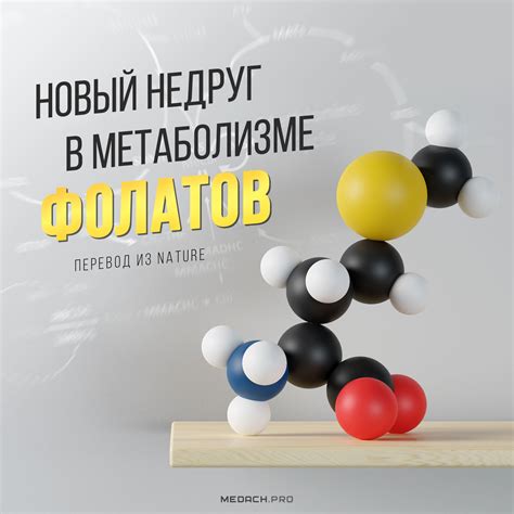 Новый недруг в метаболизме фолатов
