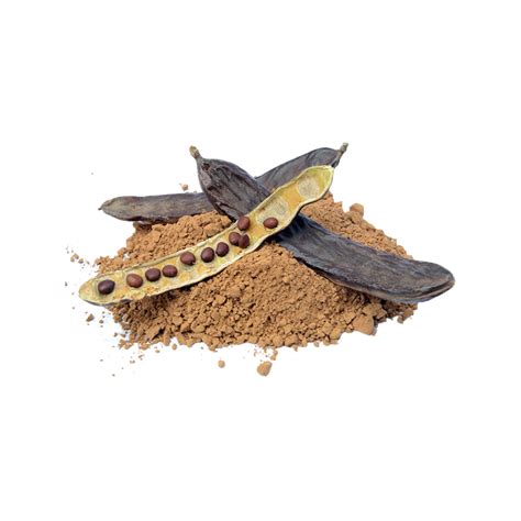 Keçi Boynuzu Tozu, Carob Powder, Johannisbrotkernmehl, Порошок ...