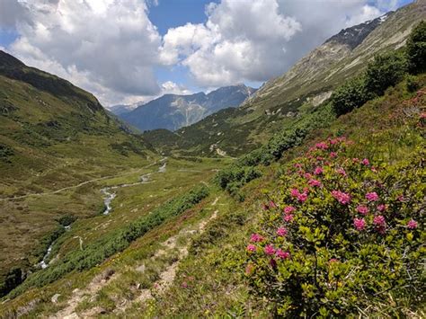 BERGHAUS VEREINA Bewertungen Fotos Klosters Schweiz Tripadvisor