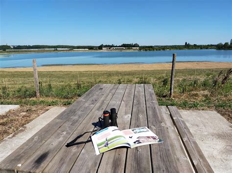 aire de pique nique de lobservatoire de la faune de la flore
