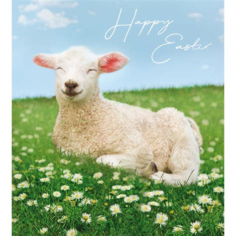 Albums 98 Pictures Happy Easter Lamb Images Stunning