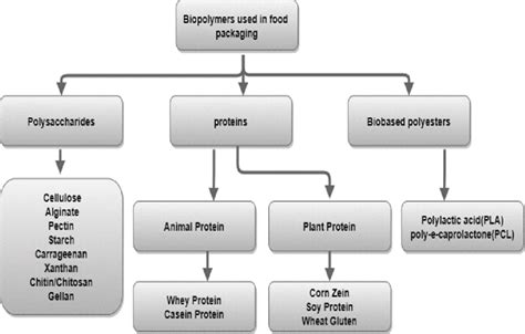 Schematic Representation Of The Classification Of The Biopolymers