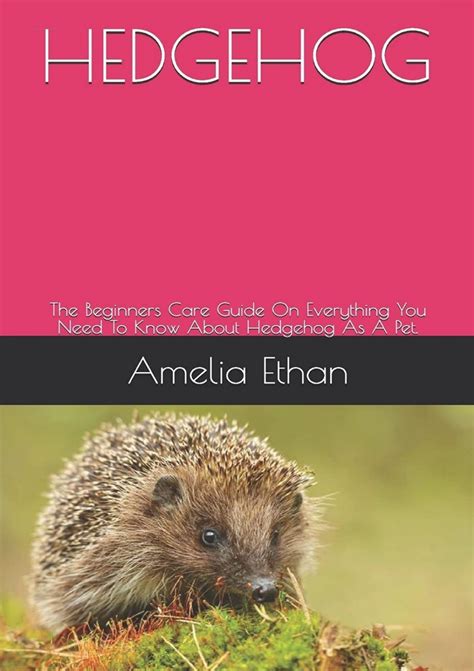 how to hedgehog stressed for beginners 5