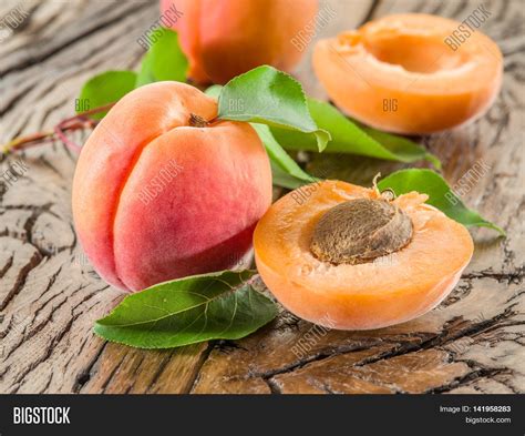 Apricots Cross Section Image And Photo Free Trial Bigstock