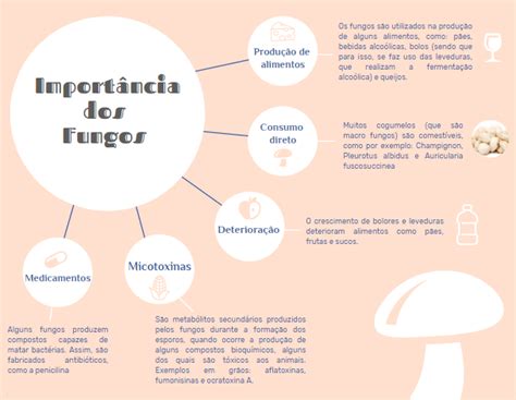 Qual A Importância Dos Fungos - Importância dos fungos - Biologia