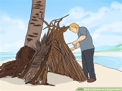 3 Ways To Survive On A Desert Island Wikihow