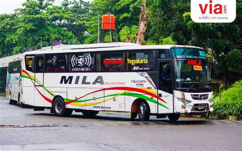 Kenalan Dengan Po Bus Terbesar Di Indonesia Via Indonesia Official