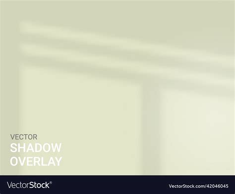 Window Shadow Overlay Effect Indoor Background Vector Image