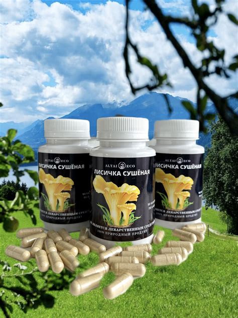 Altai Eco/Лисички грибы сушеные от паразитов/ Био чистка 90 капсул ...