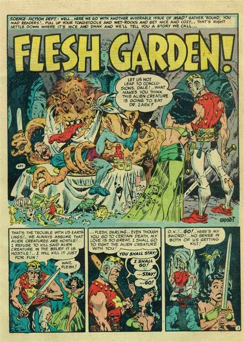 Wally Wood Mad Magazine Comic Book Artists Space Fantasy Fantasy Artist