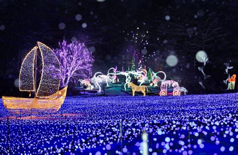 Others VisitKorea Lighting Festival At The Garden Of Morning Calm