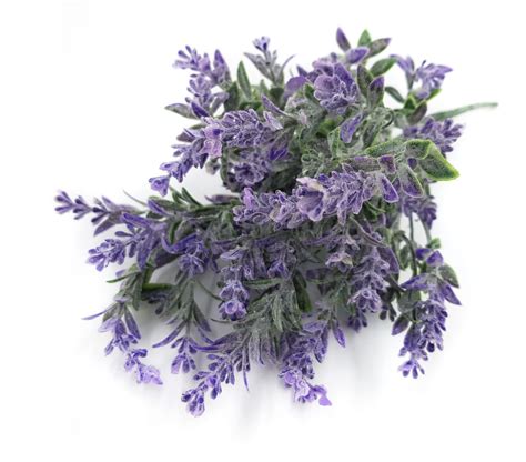 Купить Искусственные цветы лаванда по выгодной цене в интернет-магазине ...