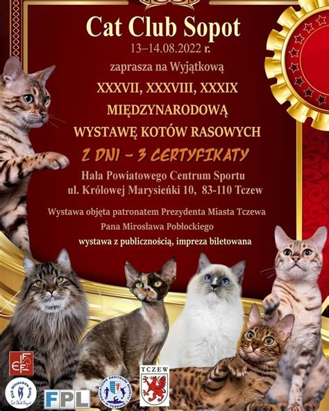 Międzynarodowa Wystawa Kotów Rasowych