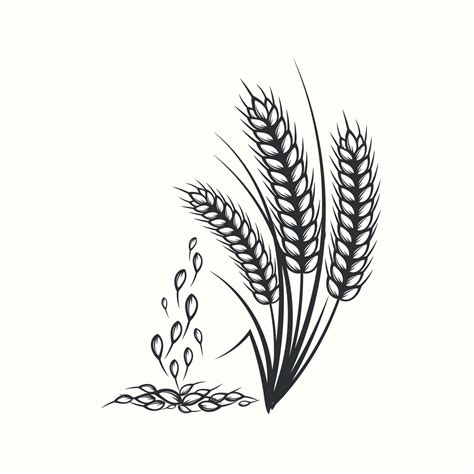 Hand Drawn Black And White Silhouette Of Wheat Ears Cereals Barley