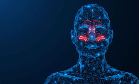 pathophysiology  allergic rhinitis adapted  cretios