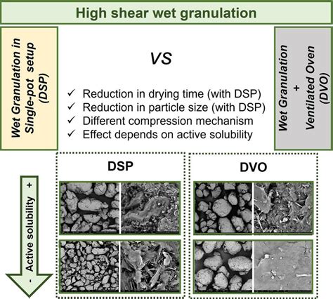 Effect Of The Drying Type On The Properties Of Granules And Tablets