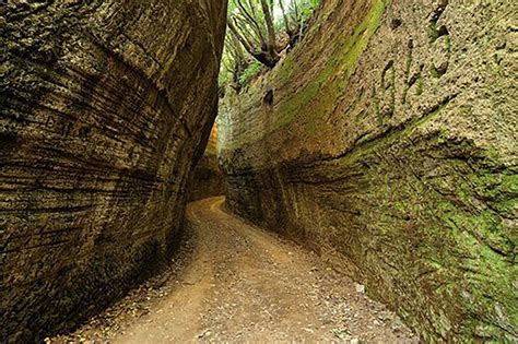 La Toscana Y Sus Paisajes Menos Conocidos Los Caminos De 2 500 Años Cavados En La Roca Infobae