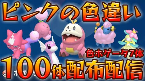 【ポケモンsv】バレンタイン企画！ラブボ入りピンク色違いポケモン100体配布 ！※ホゲータはモンボです！参加ルールは概要欄を見てね