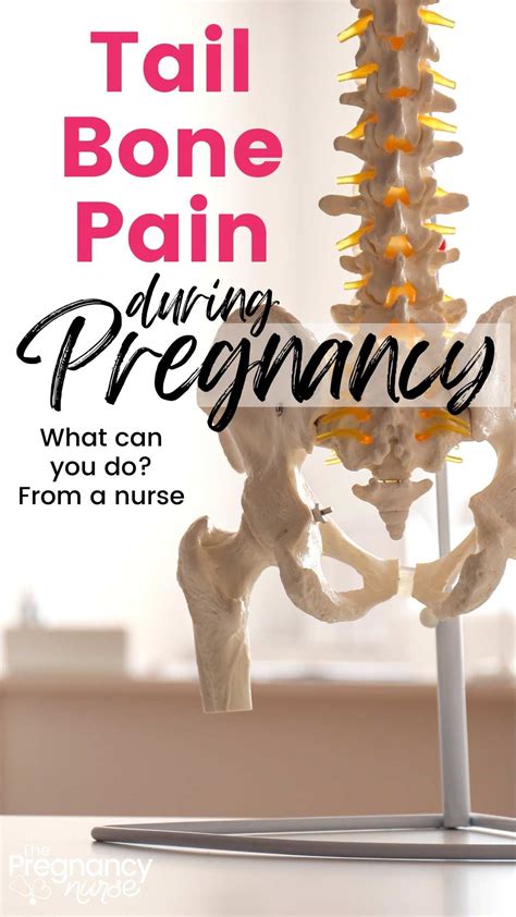 Tailbone Pain During Pregnancy 6 Things You Can Do To Help The