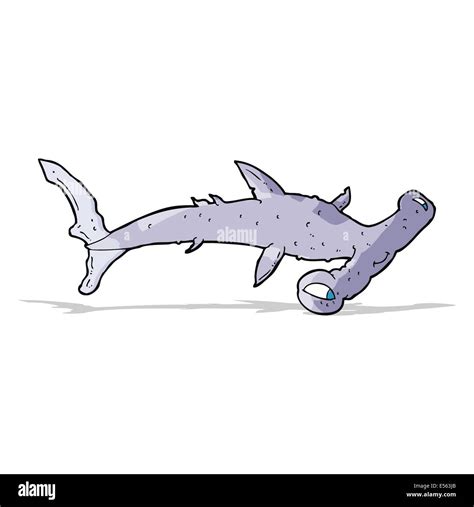 cartoon hammerhead shark Stock Vector Image & Art - Alamy