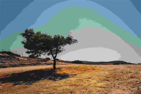 Analysts are questioning TTRA data on global tourism recovery 21