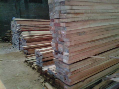 kayu kamper