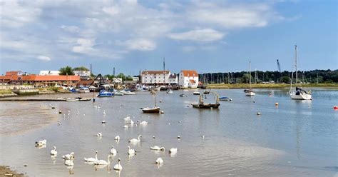 woodbridge travel guide woodbridge tourism kayak