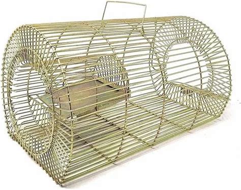 Rat Cage Trap at Rs 160/piece | Rat Trap in Secunderabad | ID ...