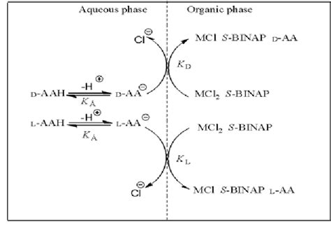 Figure From Equilibrium Of Chiral Extraction Of Nitro D L