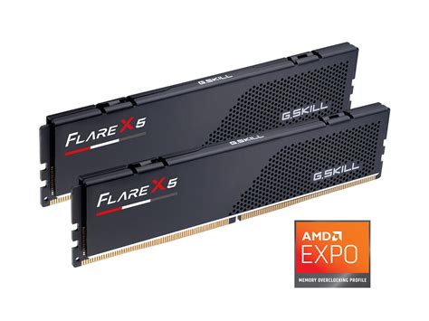 G.SKILL Flare X5 Series AMD EXPO 32GB (2 x 16GB) 288-Pin PC RAM DDR5 ...