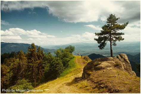 Five Reasons to Visit Borjomi This Summer